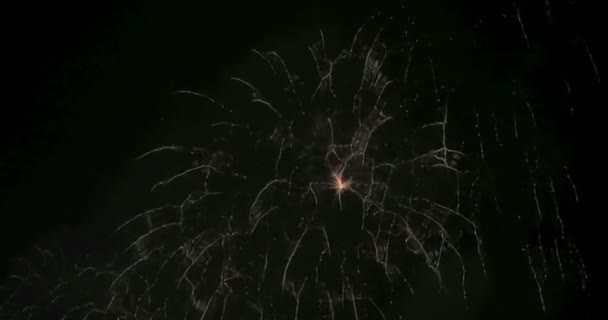 Fogos de artifício em grande cidade europeia Riga, Dia da independência, Ano Novo — Vídeo de Stock