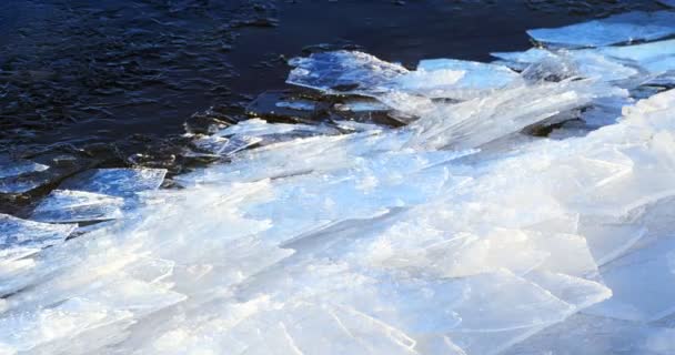 Schwimmendes Eis am Fluss, Winterlandschaft — Stockvideo