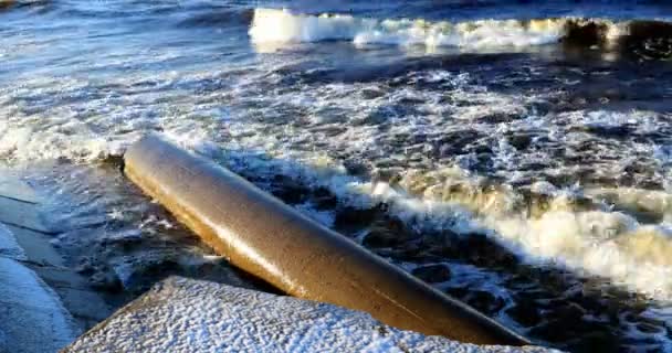 Ecología de la costa del mar Báltico — Vídeos de Stock