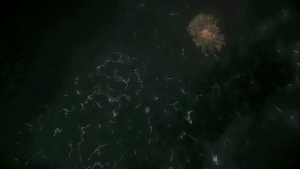 Feuerwerk in der europäischen Großstadt Riga, Unabhängigkeitstag, Neujahr — Stockvideo