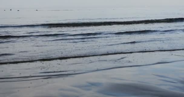 Písečná pláž v Baltském moři, Riga Lotyšsko — Stock video