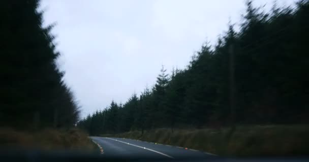 Velocidade na auto-estrada embora pequena cidade à noite — Vídeo de Stock