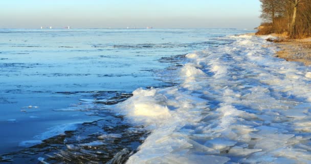 Zwevende ijs door de rivier, winterlandschap — Stockvideo