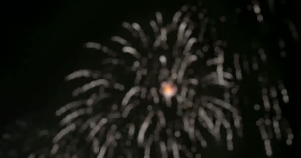 Feux d'artifice dans la grande ville européenne Riga, Jour de l'indépendance, Nouvel An — Video