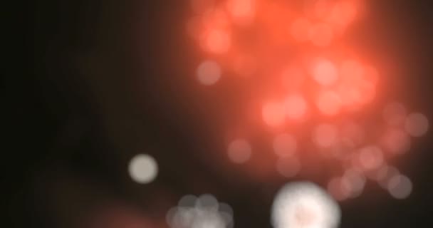 Fuochi d'artificio nella Grande città europea Riga, Giorno di indipendenza, Anno nuovo — Video Stock