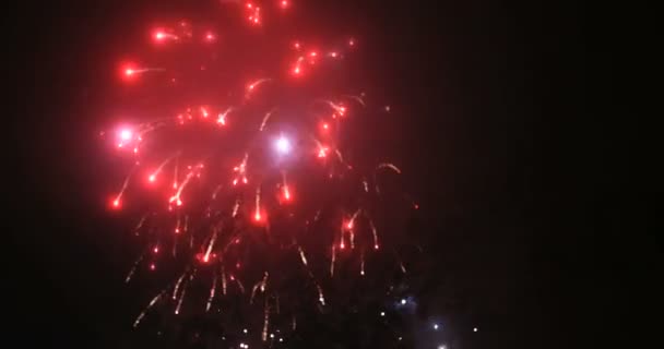 Fogos de artifício em grande cidade europeia Riga, Dia da independência, Ano Novo — Vídeo de Stock