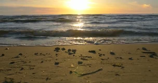 Solnedgång och stranden 4k — Stockvideo