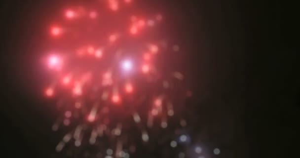 Fogos de artifício em grande cidade europeia Riga, Dia da independência, Ano Novo — Vídeo de Stock