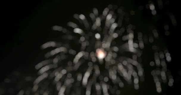 Fuegos artificiales en la gran ciudad europea Riga, Día de la Independencia, Año Nuevo — Vídeo de stock