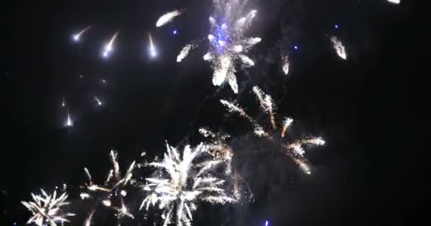Fuegos artificiales en la gran ciudad europea Riga, Día de la Independencia, Año Nuevo — Vídeos de Stock
