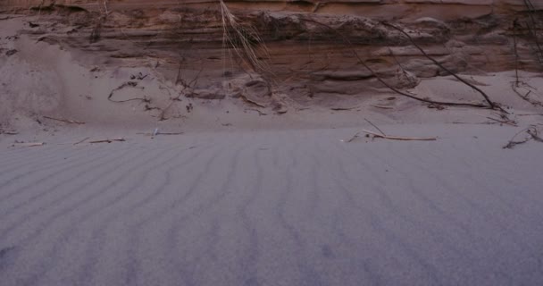 Beach dunes late Summer landscape, 4k — Stock Video