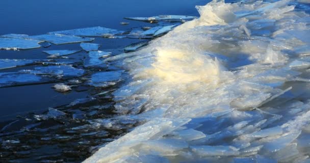 Floating ice by the river , winter landscape — Stock Video