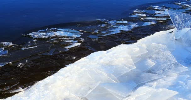 Glace flottante au bord de la rivière, paysage hivernal — Video