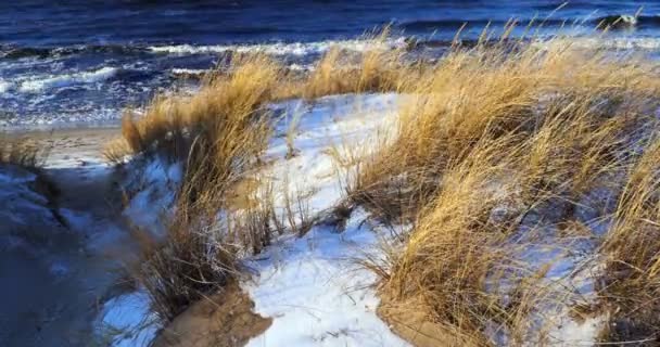Escena de dunas con hierba de playa y nieve a lo largo de una playa del Mar Báltico — Vídeos de Stock
