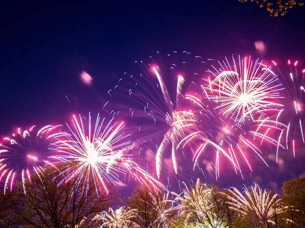 Big colorful fireworks — Stock Photo, Image