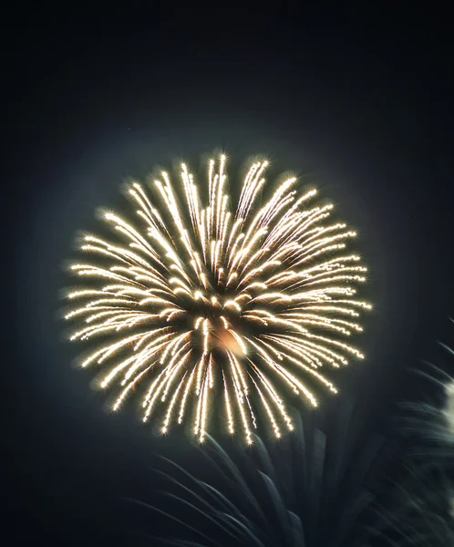 Nagy színes tűzijáték — Stock Fotó