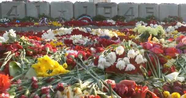 Blommor placeras på ett monument för Segerdagen i World war 2, 4k — Stockvideo