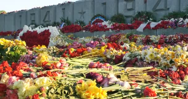 Fiori messi a un monumento durante giorno di vittoria di Seconda guerra mondiale, 4k — Video Stock