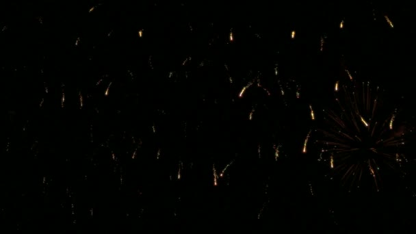 Colorful fireworks in slow motion 96fps — Stock Video