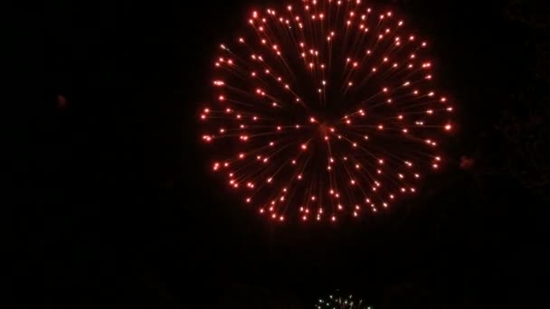 Fuochi d'artificio colorati al rallentatore 96fps — Video Stock
