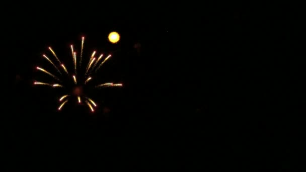 Fuochi d'artificio colorati al rallentatore 96fps — Video Stock