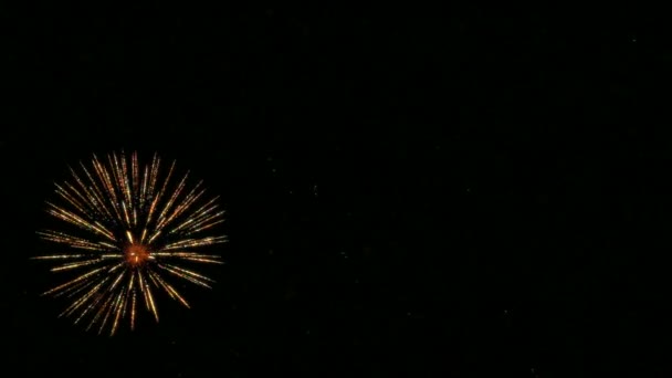 Feux d'artifice colorés au ralenti 96fps — Video