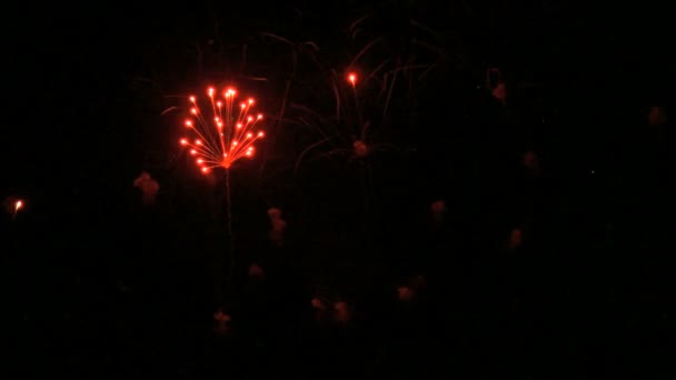 Fuochi d'artificio colorati al rallentatore 96fps — Video Stock