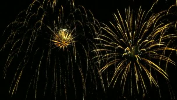 Fuochi d'artificio colorati al rallentatore 96fps — Video Stock