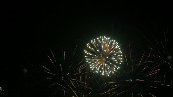 Fuochi d'artificio colorati al rallentatore 96fps — Video Stock