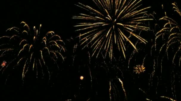 Colorful fireworks in slow motion 96fps — Stock Video