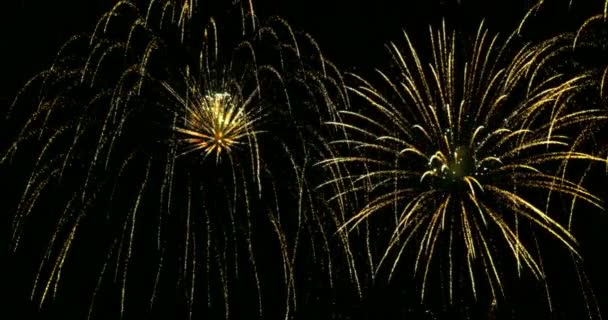 Nieuwjaar viering vuurwerk — Stockvideo