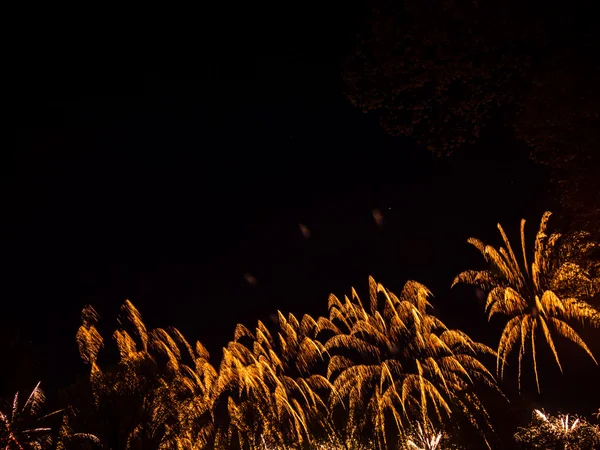 Grandes fuegos artificiales de colores — Foto de Stock