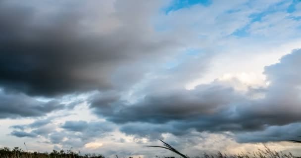 Zeitraffer-Clip von weißen, flauschigen Wolken über blauem Himmel — Stockvideo