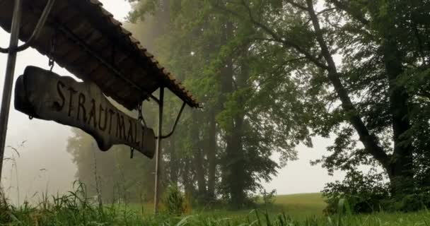 Liten stad tecken i skogen dimmigt — Stockvideo