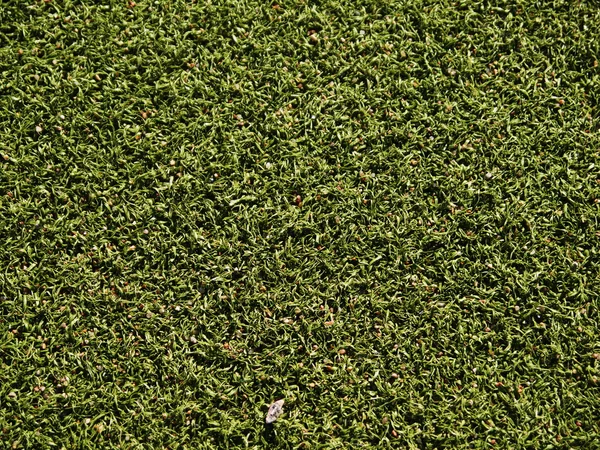 Campo de fútbol hierba en el verde —  Fotos de Stock