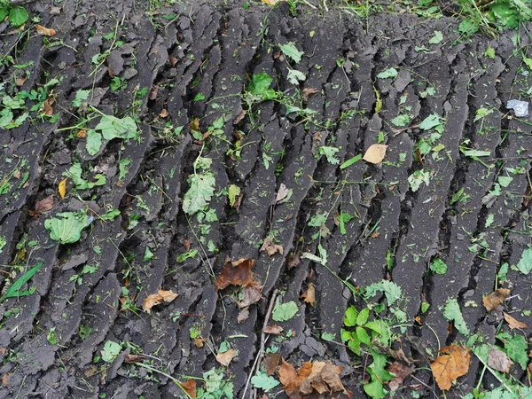 Εικόνα της πολύχρωμα φύλλα στο έδαφος — Φωτογραφία Αρχείου