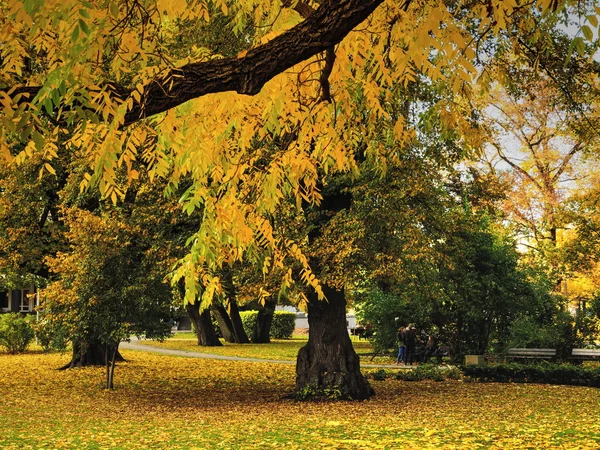 Park in autumn — Stock Photo, Image