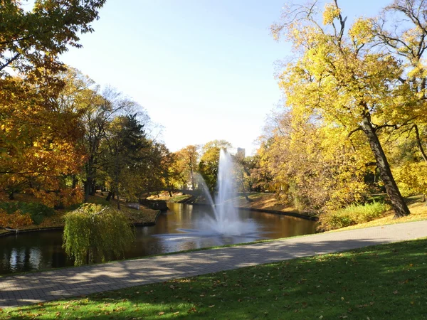 Parc en automne — Photo