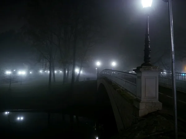 Park bridge in foggy winter night — Stock Photo, Image