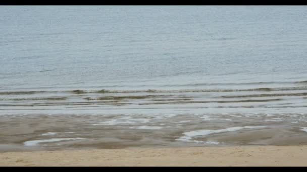 リガ ラトビア バルト海の砂浜 — ストック動画