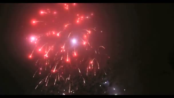 Фейерверки в большом европейском городе Риге, День независимости — стоковое видео