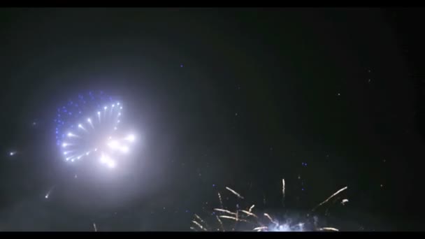 Fuochi d'artificio nella grande città europea Riga, giorno dell'indipendenza — Video Stock