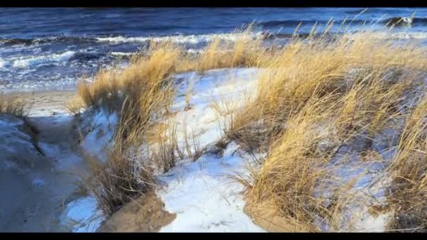 Duna scénu s beach trávy a sněhu podél Baltského moře pláž Riga — Stock video