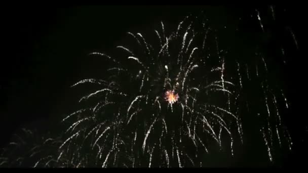 Fireworks in Big Eeuropean city Riga, Independence day — Stock Video