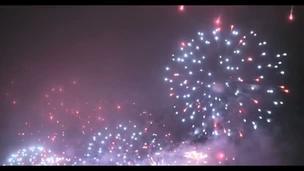 Fireworks in Big Eeuropean city Riga, Independence day — Stock Video