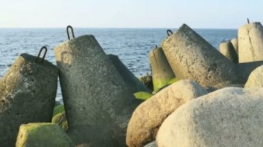 Yeşil deniz çimen n taşlar Letonya Riga Beach