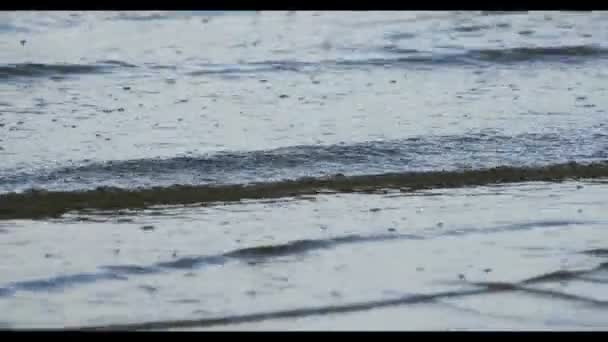 Plage de sable dans la mer Baltique, Riga Lettonie — Video