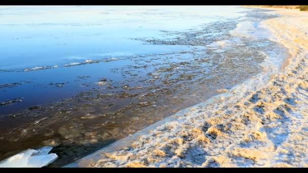 Zwevende ijs door de rivier, winterlandschap — Stockvideo