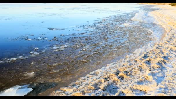 Hielo flotante junto al río, paisaje invernal — Vídeos de Stock