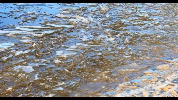 Úszó jég a folyónál, téli táj — Stock videók